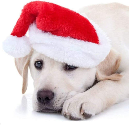 Christmas Pet Hat