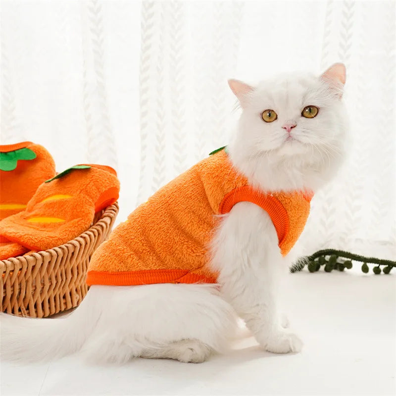 Pet Clothes Puppy Clothes Cartoon Flannel Warm Clothes Dog Cat Teddy Vest Jackets Pet Supplies Dog Costume