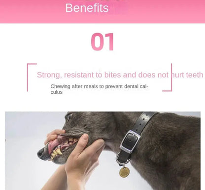 Cats and Dogs Pet Plush Dinosaur Toys Interactive Dog Chew Toys Plush Stuffing Pet Supplies Dog Toys for Small Dogs