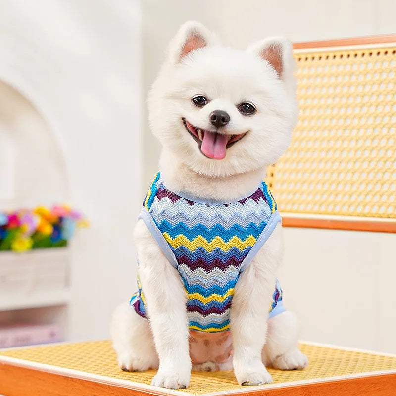 Pet Cat Clothes Breathable Kitty Clothing Dogs Soft Vests Summer Shirt Casual T-Shirt for Small Pet Costume Supplies Wholesale