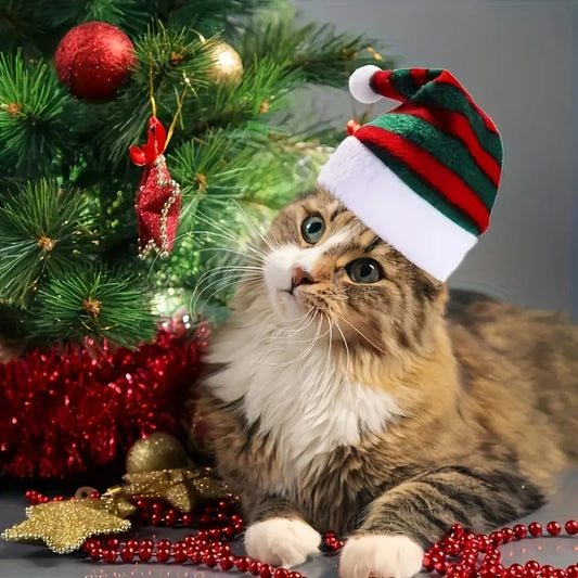 Christmas hat for  Pets Multicolor